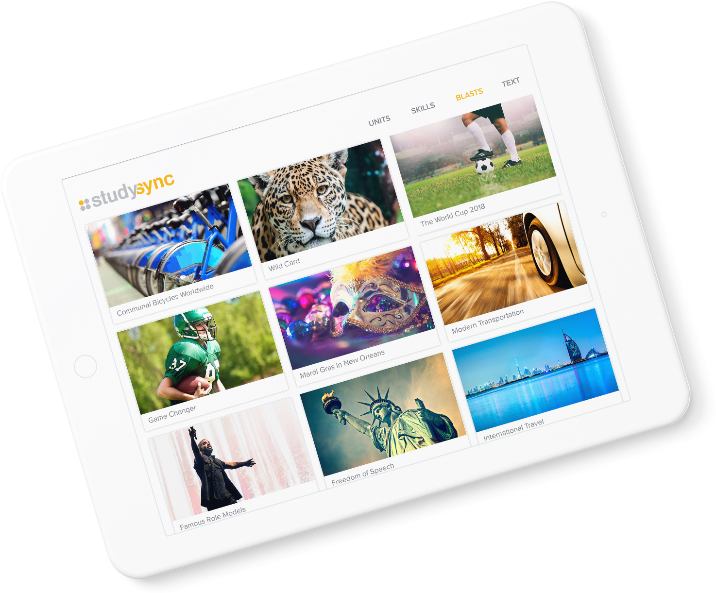 iPad